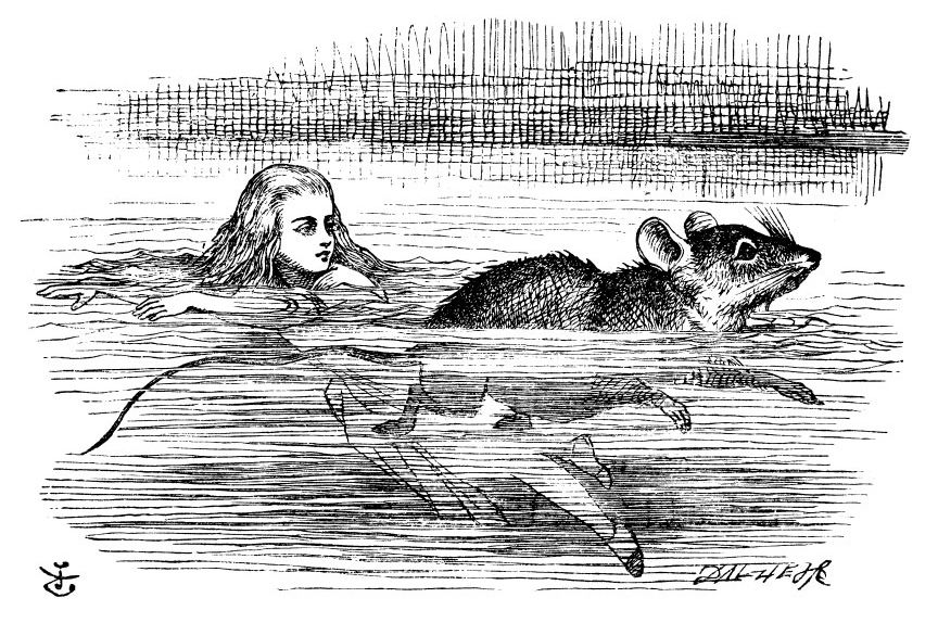 Alice Swimming with Mouse
